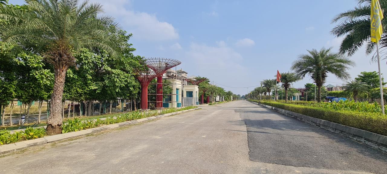 Celestia Gold, Grande & Royale